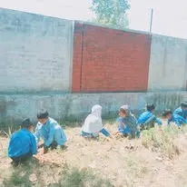 Green Seekers Activity